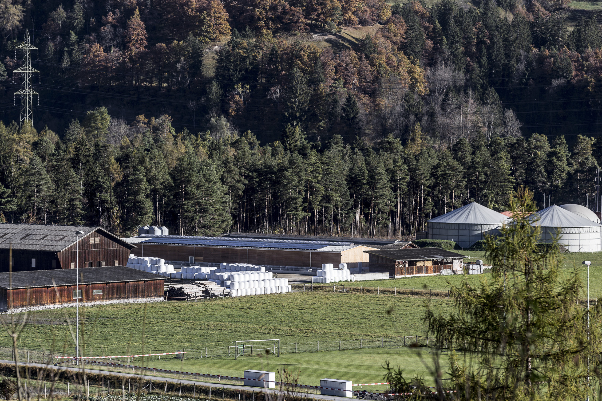 Schweinestall JVA Realta 2016